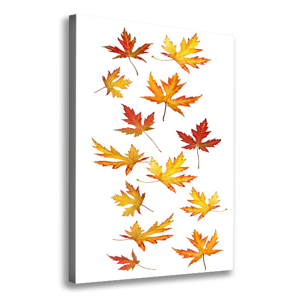 Canvas wall art Autumn leaves