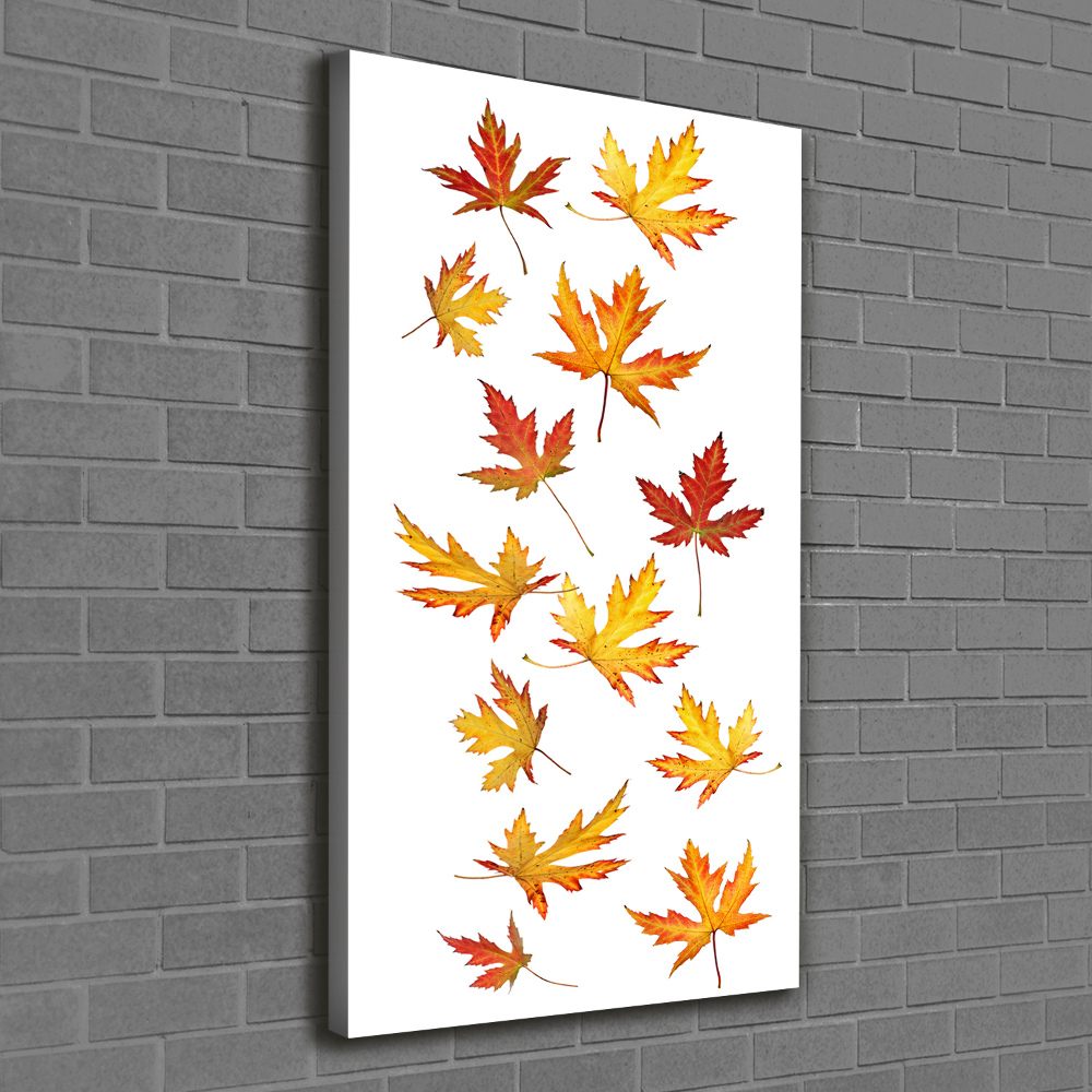 Canvas wall art Autumn leaves