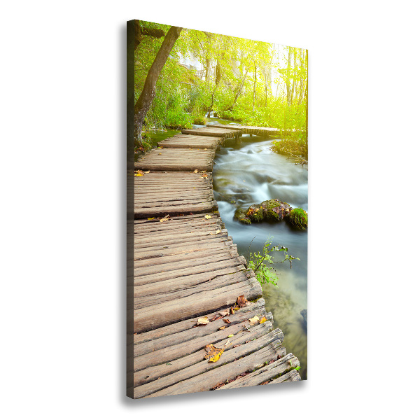 Picture canvas print Path in the forest