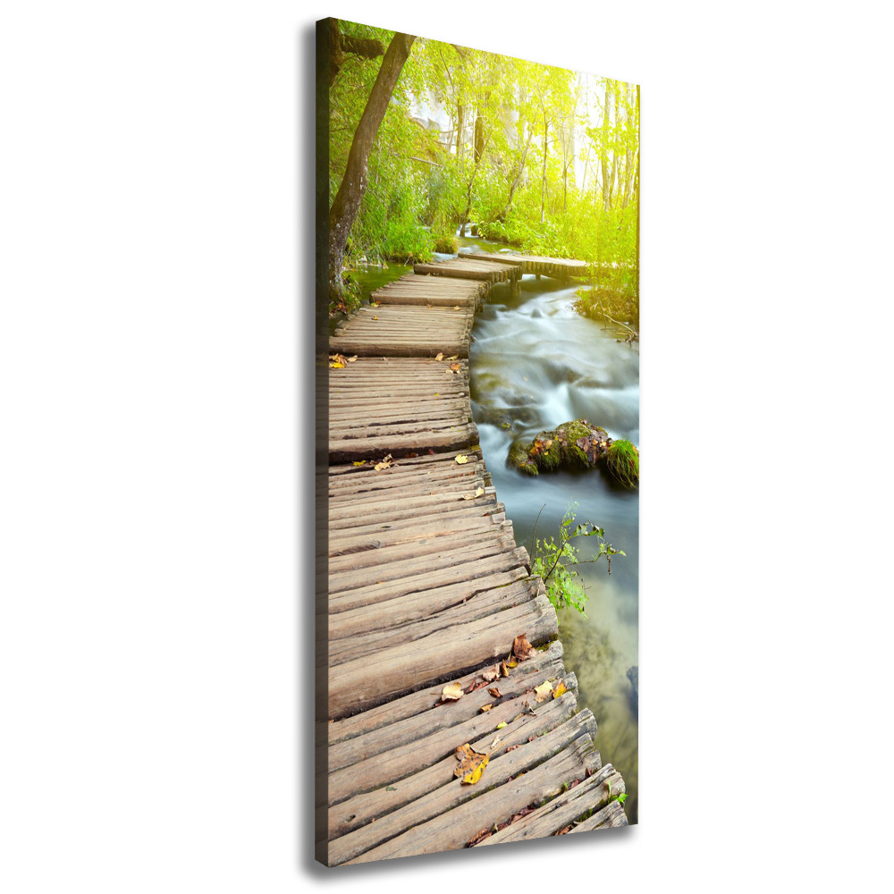 Picture canvas print Path in the forest