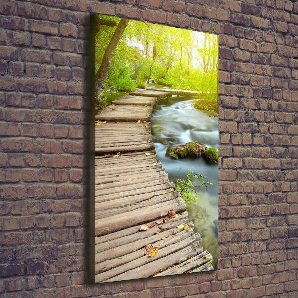 Picture canvas print Path in the forest