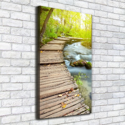 Picture canvas print Path in the forest