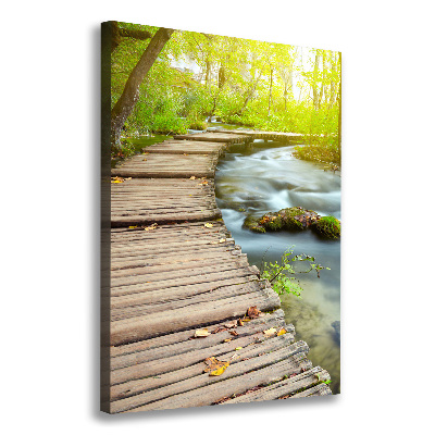 Picture canvas print Path in the forest