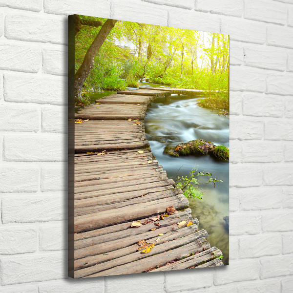 Picture canvas print Path in the forest