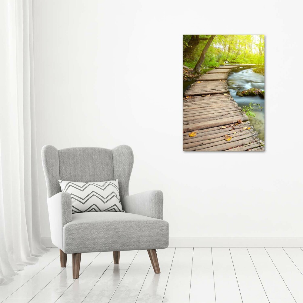 Picture canvas print Path in the forest