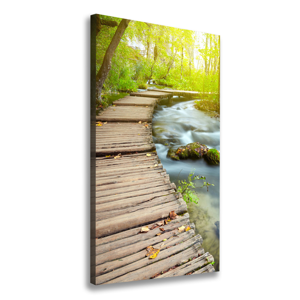 Picture canvas print Path in the forest