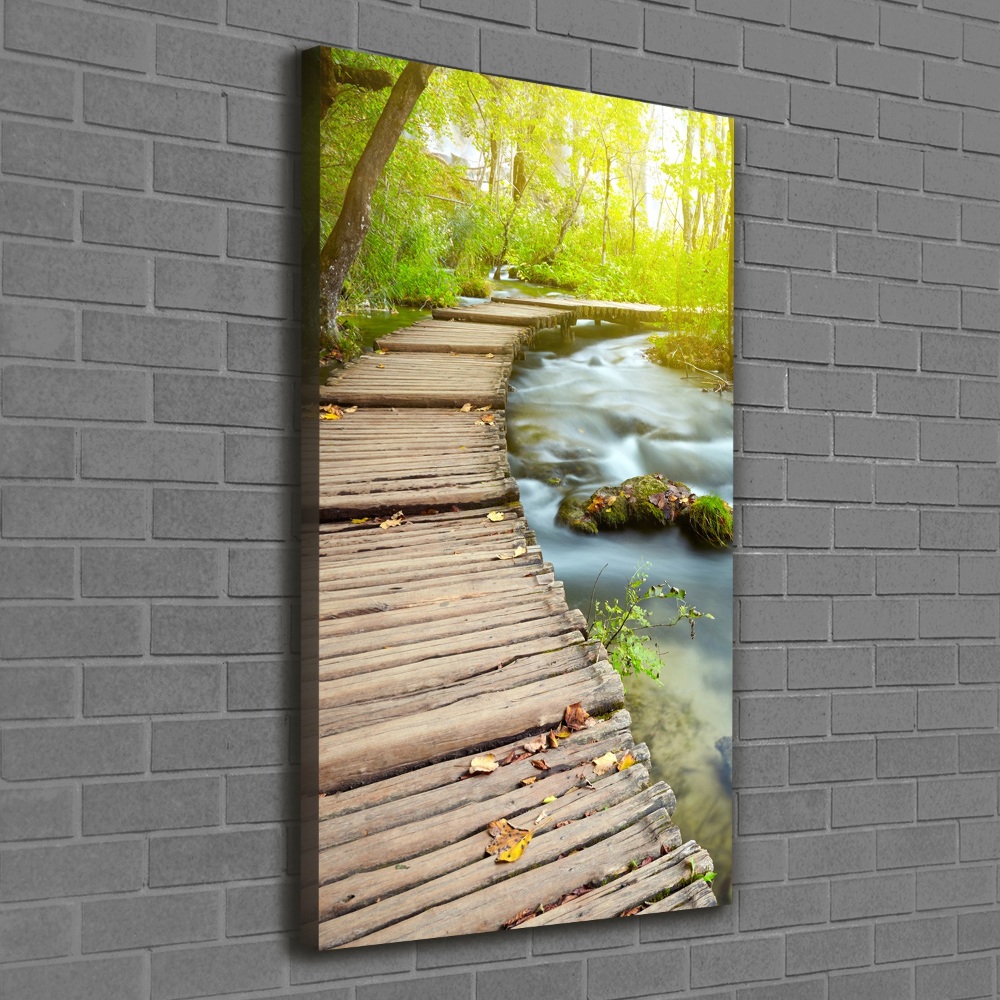 Picture canvas print Path in the forest