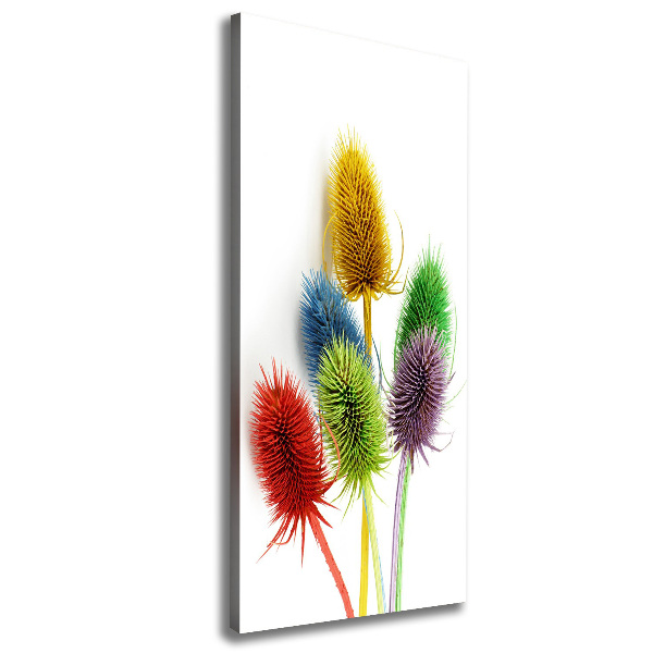 Canvas print Thistle