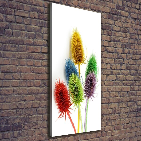 Canvas print Thistle