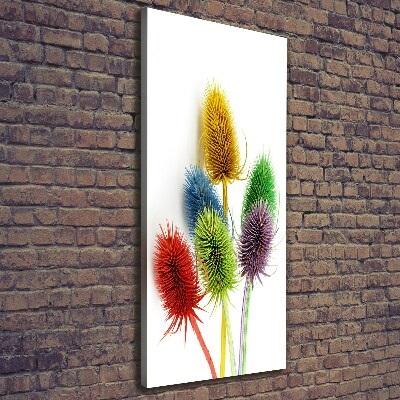 Canvas print Thistle