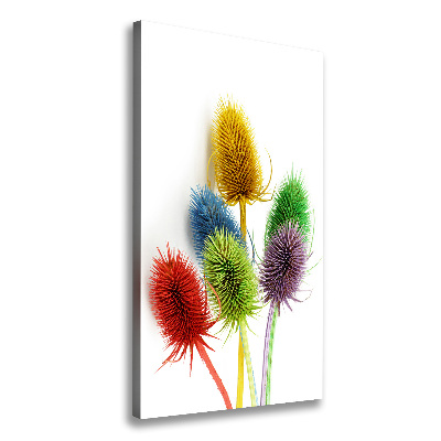 Canvas print Thistle