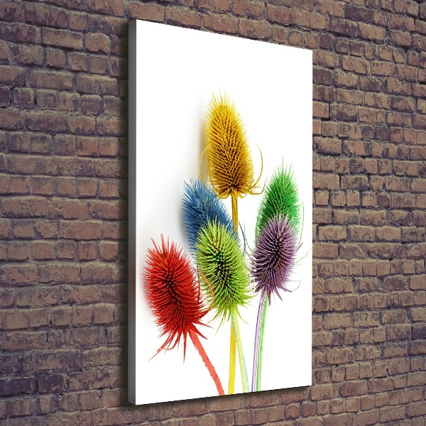 Canvas print Thistle