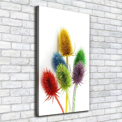 Canvas print Thistle