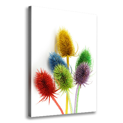 Canvas print Thistle