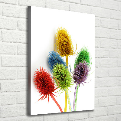 Canvas print Thistle