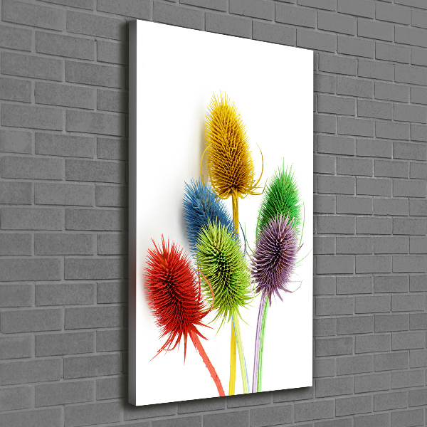 Canvas print Thistle