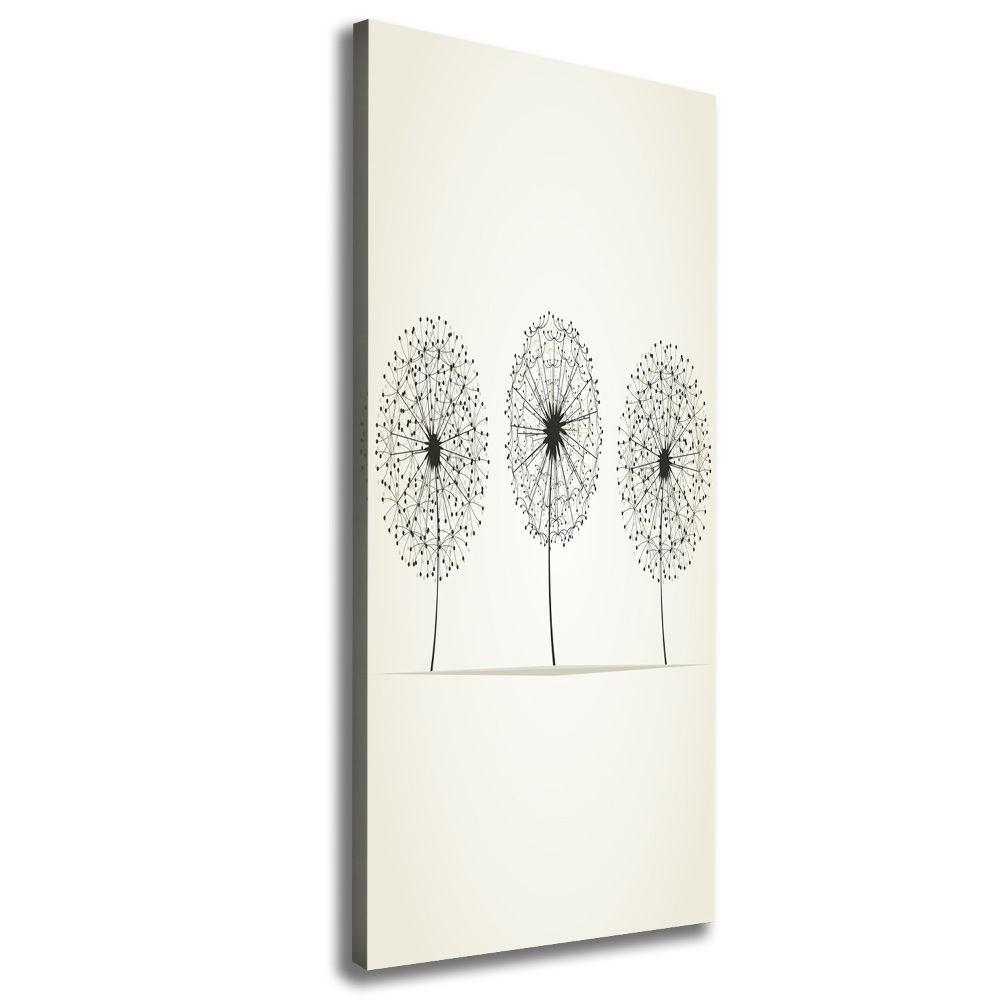 Large canvas wall art dandelions