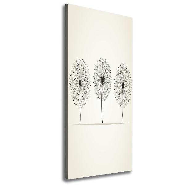 Large canvas wall art dandelions