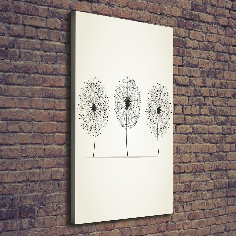 Large canvas wall art dandelions