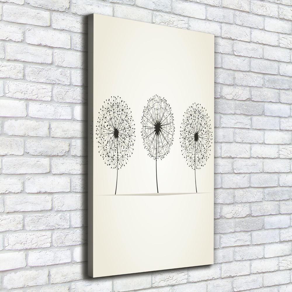 Large canvas wall art dandelions