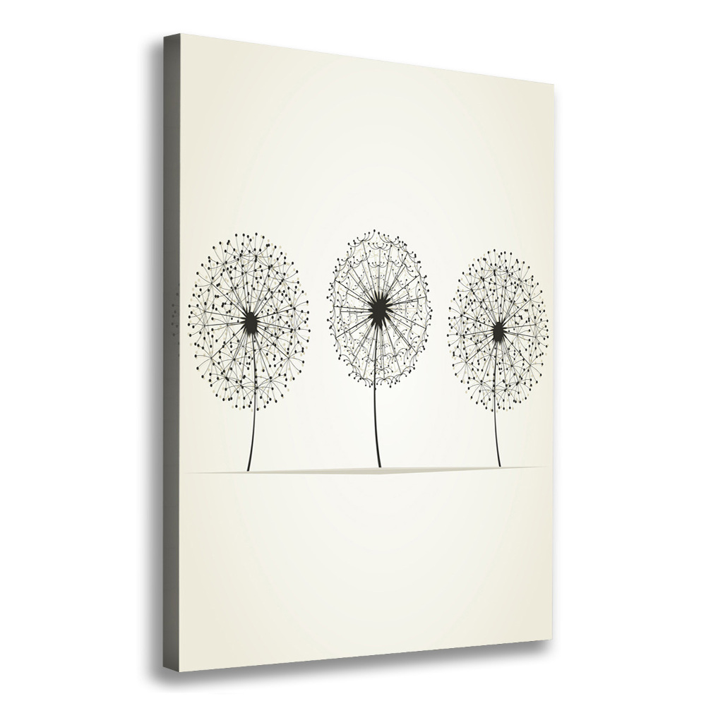 Large canvas wall art dandelions