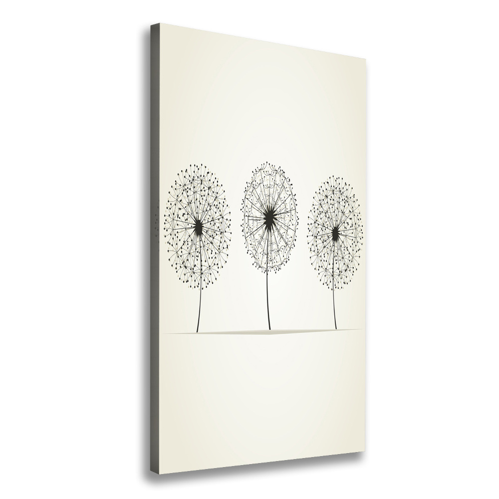 Large canvas wall art dandelions