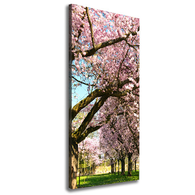 Canvas wall art Cherry trees