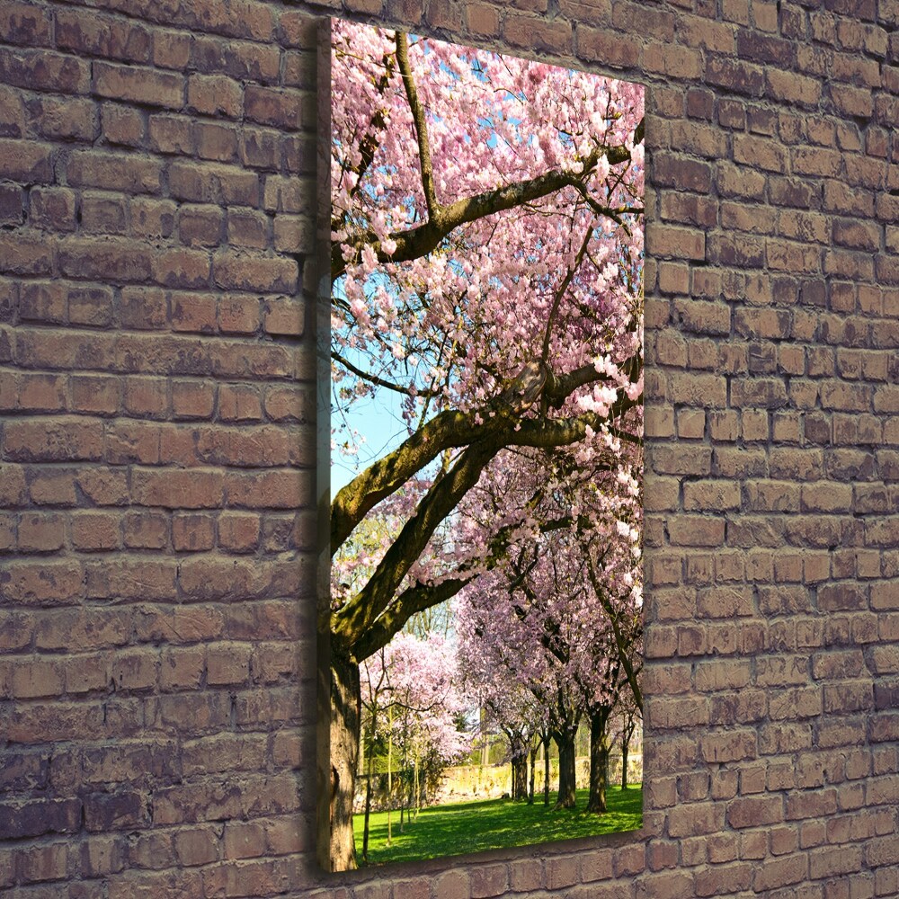 Canvas wall art Cherry trees