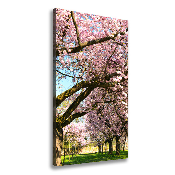 Canvas wall art Cherry trees