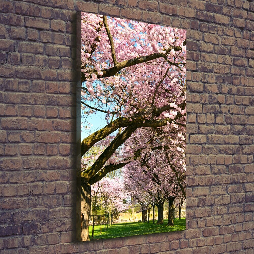 Canvas wall art Cherry trees