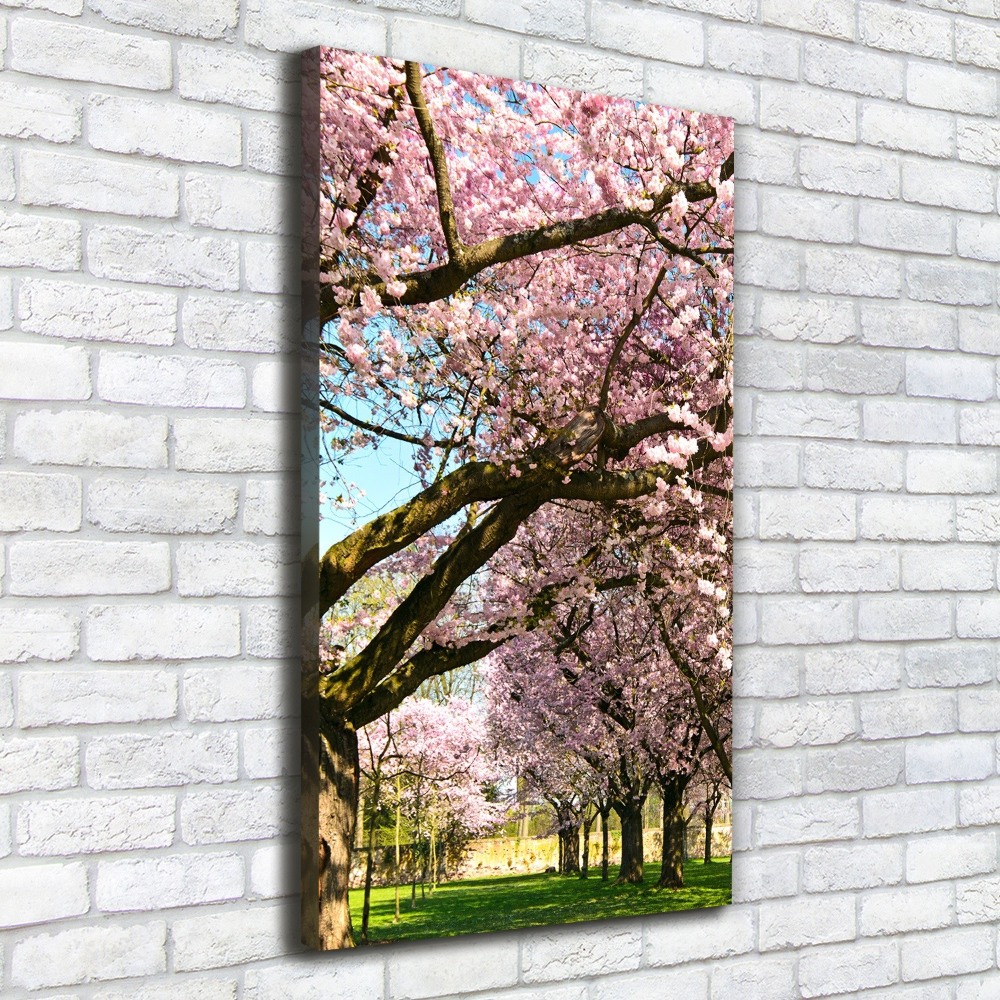 Canvas wall art Cherry trees