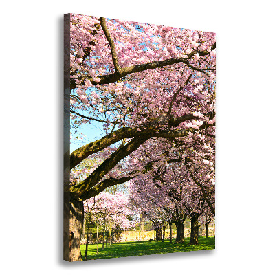 Canvas wall art Cherry trees