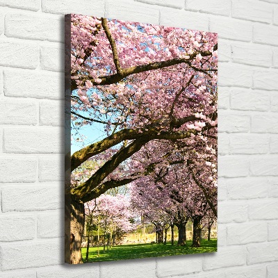 Canvas wall art Cherry trees