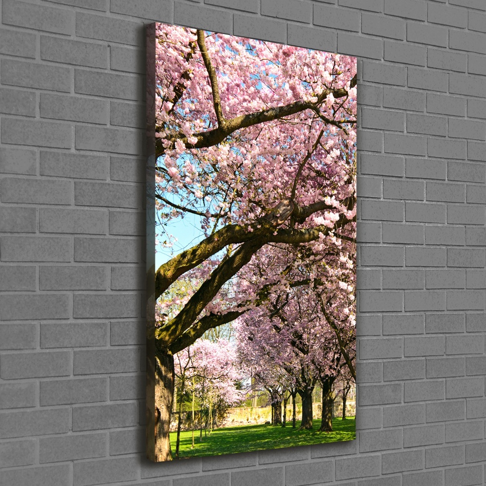 Canvas wall art Cherry trees