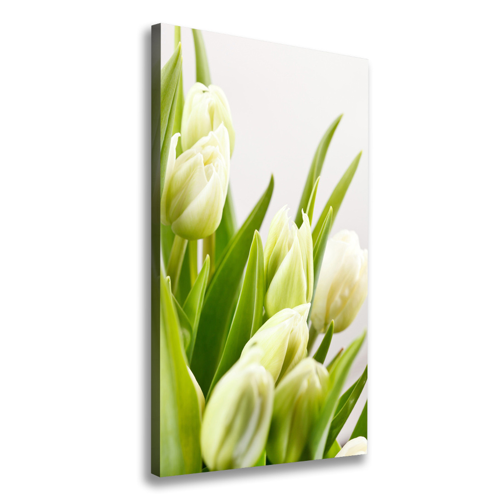 Large canvas wall art White tulips