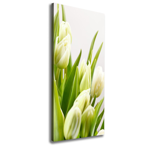 Large canvas wall art White tulips