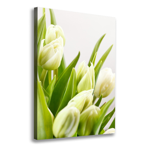 Large canvas wall art White tulips