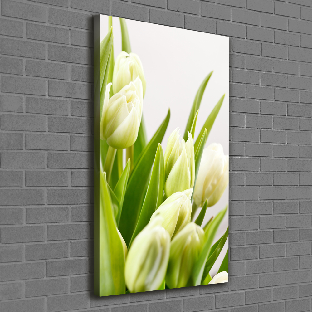 Large canvas wall art White tulips