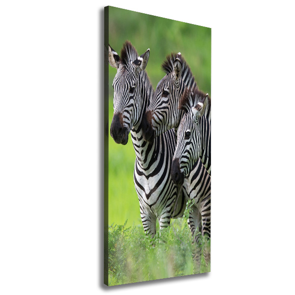 Large canvas wall art Three zebras