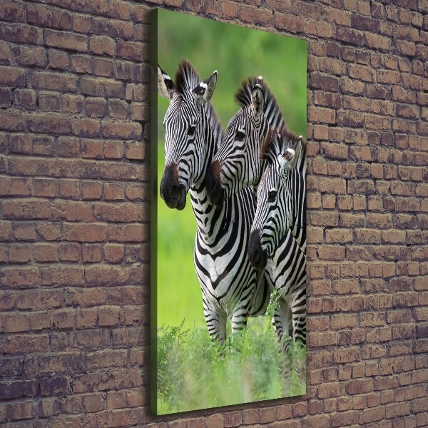 Large canvas wall art Three zebras