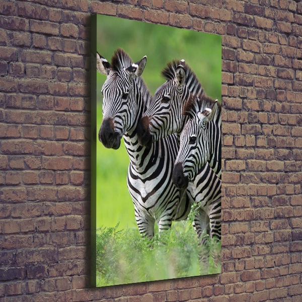 Large canvas wall art Three zebras