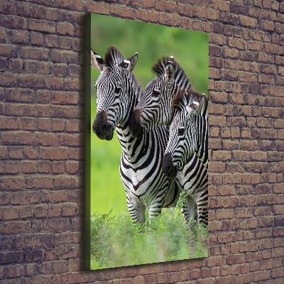 Large canvas wall art Three zebras