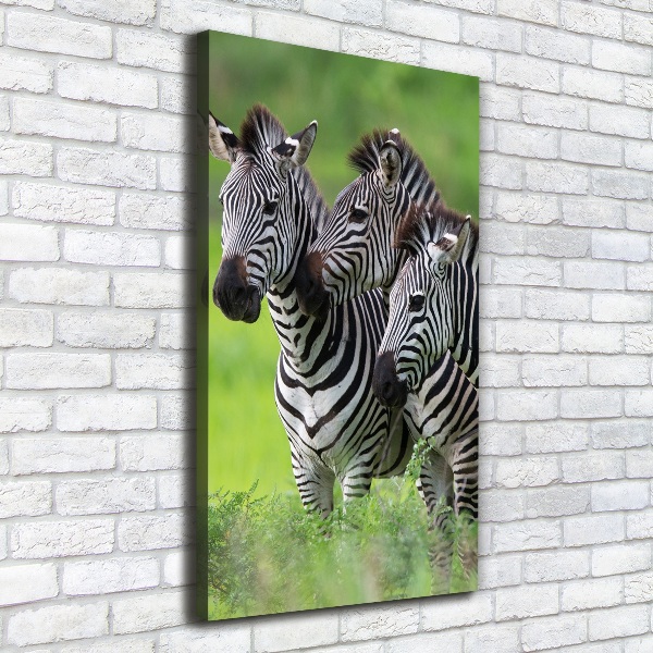 Large canvas wall art Three zebras