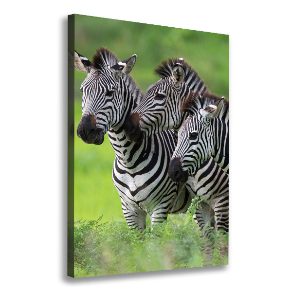 Large canvas wall art Three zebras