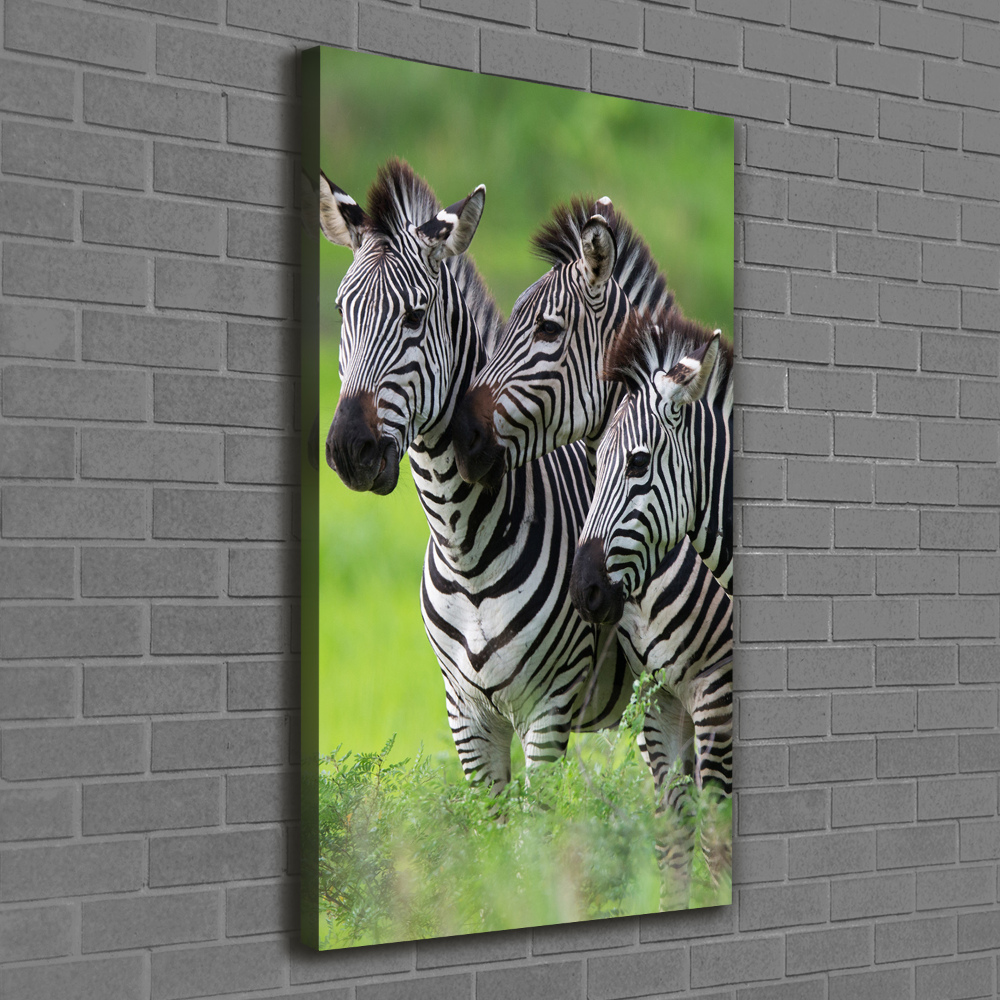 Large canvas wall art Three zebras