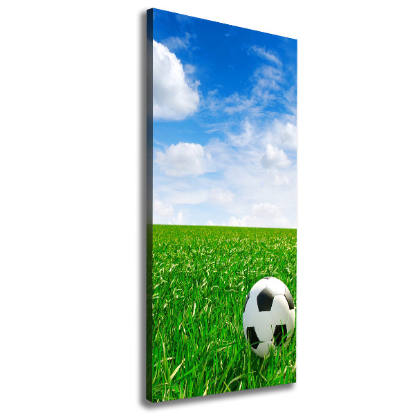 Canvas print Football in the meadow