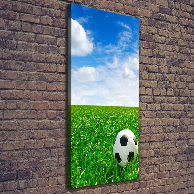 Canvas print Football in the meadow