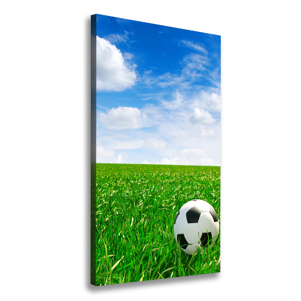 Canvas print Football in the meadow