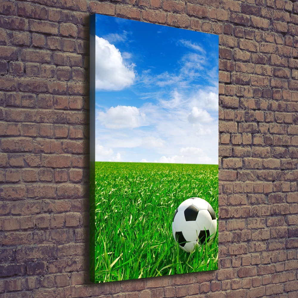 Canvas print Football in the meadow