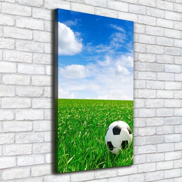 Canvas print Football in the meadow